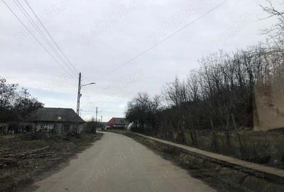 Teren de 3478 mp, în Viișoara - 7