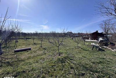 Teren de 600 mp, în Mischii - 2