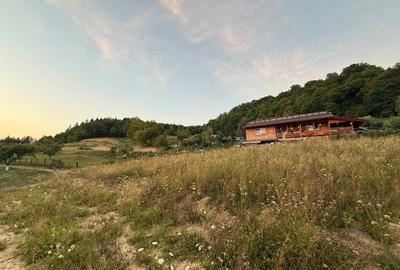 Teren Construcții extravilan de 1000 mp, în Central - 1