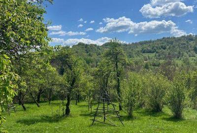 Casă cu 2 camere cu Teren 1200 Mp în Corbeni - 4