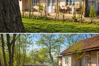 Casă individuală cu 3 camere în Drăgănești-Vlașca - 1