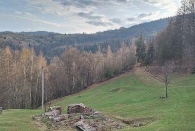 Teren de 5334 mp, în Dârlești - 4
