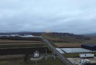 Teren de 14066 mp, în Mihoveni - 13