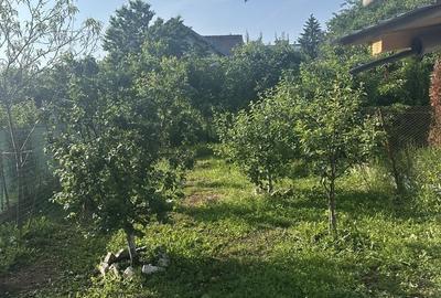 Casă cu 4 camere în Câmpina