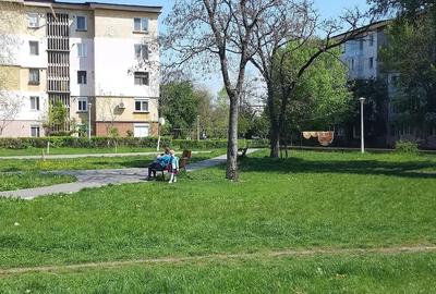 Teren de 1819 mp, în Hunedoara - 5