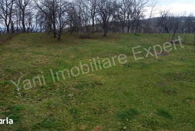 Teren de 2674 mp, în Cepari - 2