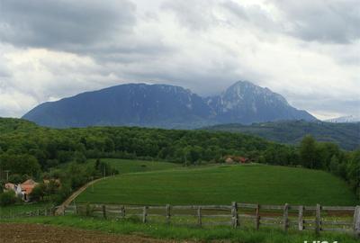 Teren de 11600 mp, în Poiana Mărului
