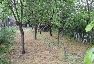 Casă cu 2 camere cu Teren 390 Mp în Central - 8