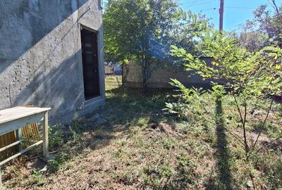 Casă cu 4 camere cu Teren 1000 Mp în Bâldana - 9