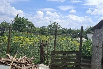 Casă cu 3 camere cu Teren 950 Mp în Cruceni - 2