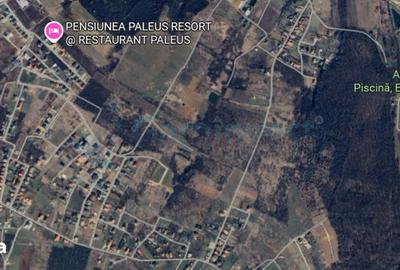 Teren de 13265 mp, în Paleu