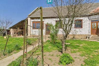 Casă individuală cu 4 camere cu Teren 5942 Mp în Gelu - 2