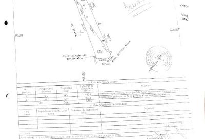 Teren agricol intravilan de 1112 mp, în Frumușani - 9