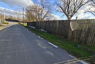 Teren de 1000 mp, în Cățelu - 2
