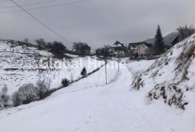 Teren de 725 mp, în Moieciu - 2