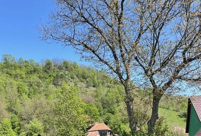 Casă cu 2 camere în Ocoliș - 1