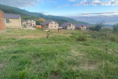 Teren de 625 mp, în Doicești