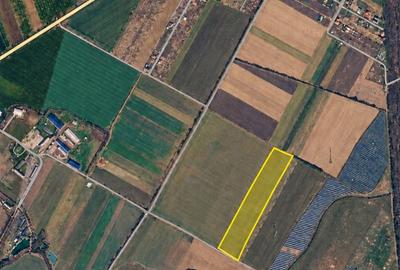 Teren de 11700 mp, în Gepiu