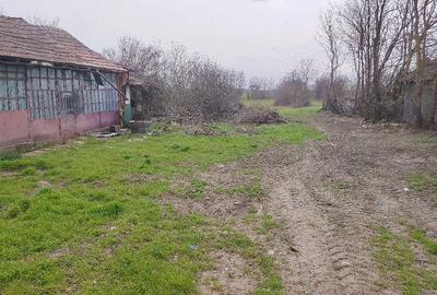 Teren de 3000 mp, în Fierbinți-Târg