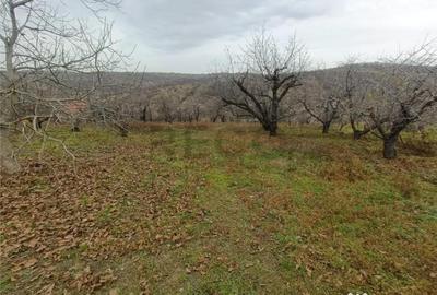 Teren de 3989 mp, în Central - 5