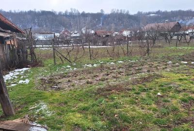 Casă cu 4 camere cu Teren 200 Mp în Central