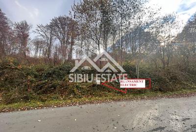 Teren Construcții intravilan de 3000 mp, în Sud - 2