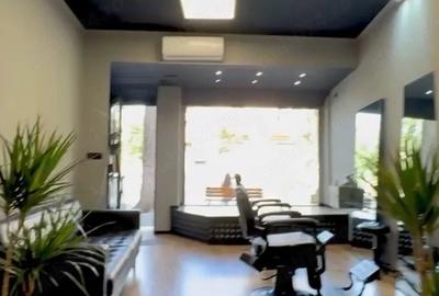 Spațiu comercial, de 53 mp, în Pache Protopopescu