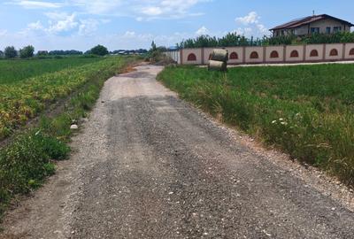 Teren Construcții intravilan de 5000 mp, în Bod - 6