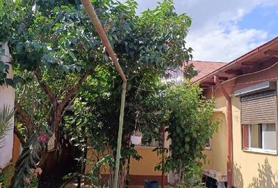 Casă cu Teren 200 Mp în Viile Noi