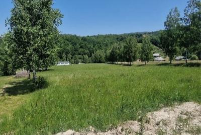 Teren de 10000 mp, în Vânători