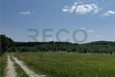 Teren de 685 mp, în Paleu - 4