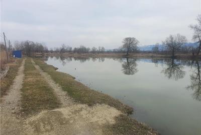 Teren agricol extravilan de 5820 mp, în Colun - 10