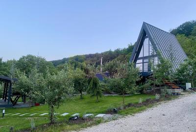 Hotel/Pensiune, în Bălilești - 4