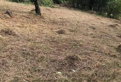 Teren în Geoagiu-Băi