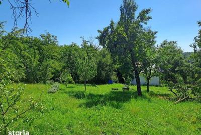 Teren de 562 mp, în Teișani