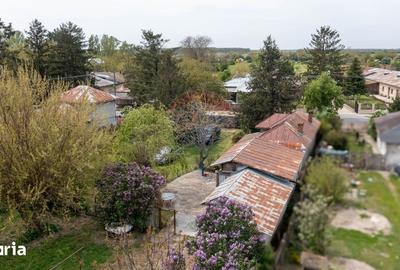 Teren de 6000 mp, în Stănești - 7