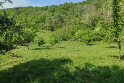 Teren de 1700 mp, în Central - 5