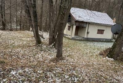 Casă cu 4 camere în Ocolișel
