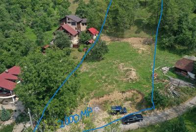 Teren de 4000 mp, în Bran - 3