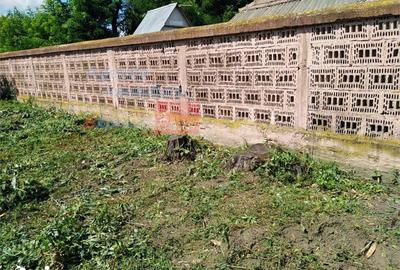 Teren de 3000 mp, în Prisăcani - 1