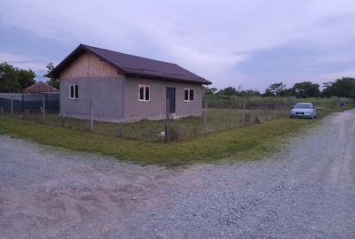 Casă cu 3 camere în Stejaru - 4