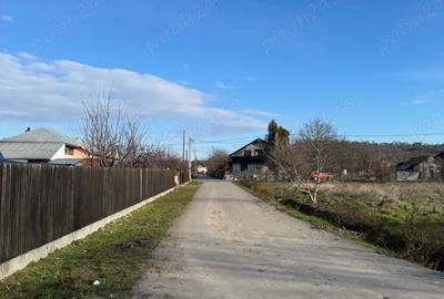 Teren de 1300 mp, în Curtișoara - 2