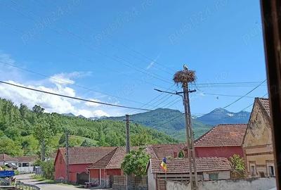 Casă cu 6 camere cu Teren 1500 Mp în Valea - 7
