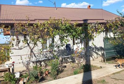 Casă cu 3 camere în Drăgănești-Vlașca