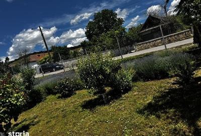 Casă cu 2 camere cu Teren 1800 Mp în Slava Cercheză - 2