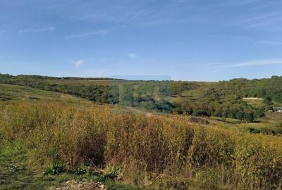 Teren Construcții extravilan de 11050 mp, în Orașul Nou - 4