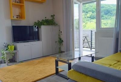 Apartament cu 2 camere semidecomandat în Florești - 4