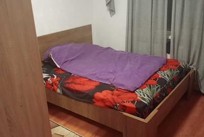Apartament cu 2 camere semidecomandat în Milcov - 2