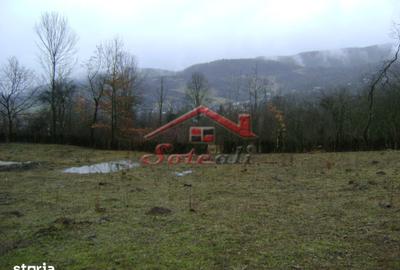 Teren de 2656 mp, în Provița de Jos
