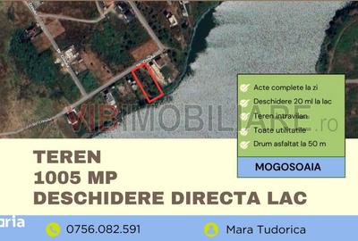 Teren de 1005 mp, în Mogoșoaia - 4